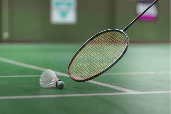 Badmintor Court made by Elite Solution BD